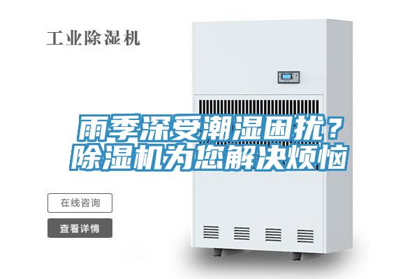 雨季深受潮湿困扰？免费看操逼软件为您解决烦恼