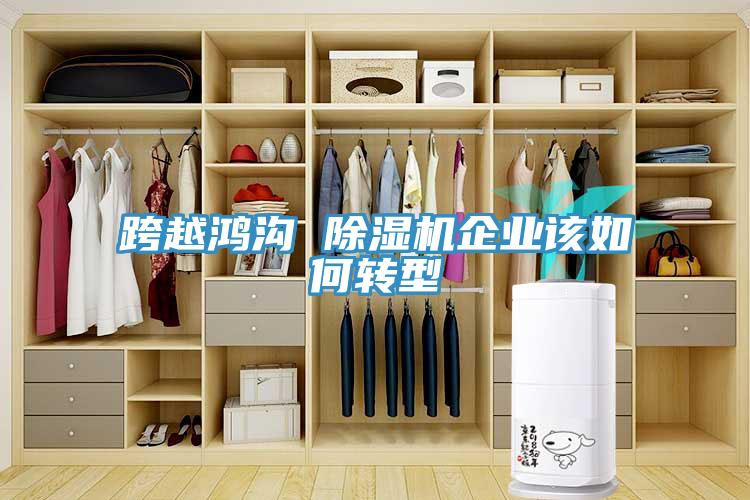跨越鸿沟 免费看操逼软件企业该如何转型