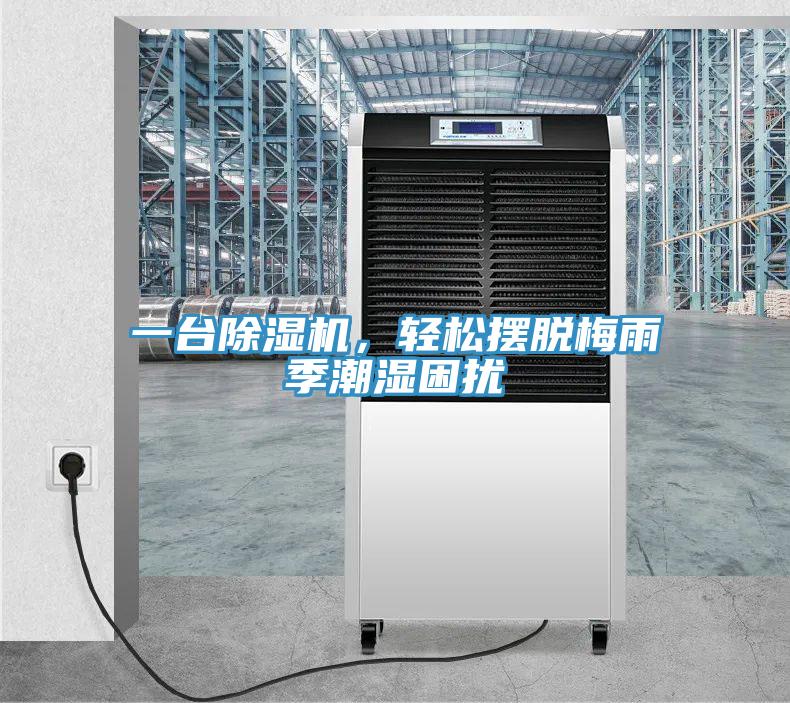 一台免费看操逼软件，轻松摆脱梅雨季潮湿困扰