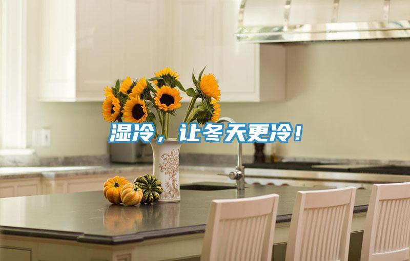 湿冷，让冬天更冷！