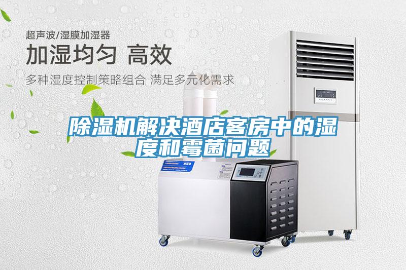 免费看操逼软件解决酒店客房中的湿度和霉菌问题