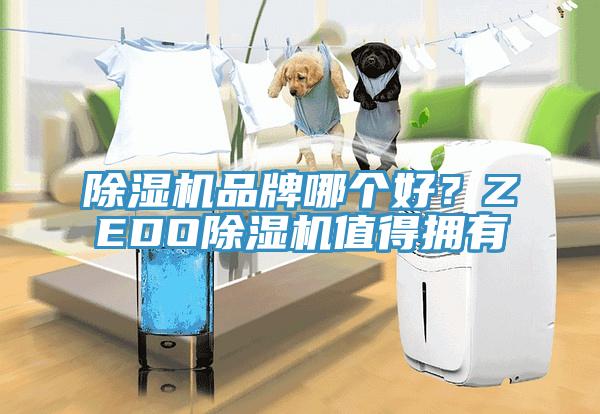 免费看操逼软件品牌哪个好？ZEDO免费看操逼软件值得拥有