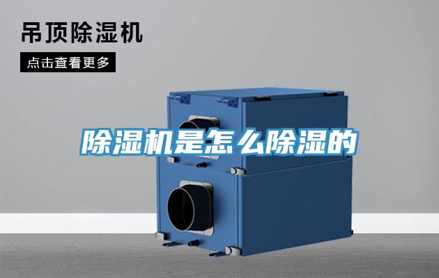 免费看操逼软件是怎么除湿的