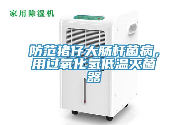 防范猪仔大肠杆菌病，用过氧化氢低温灭菌器