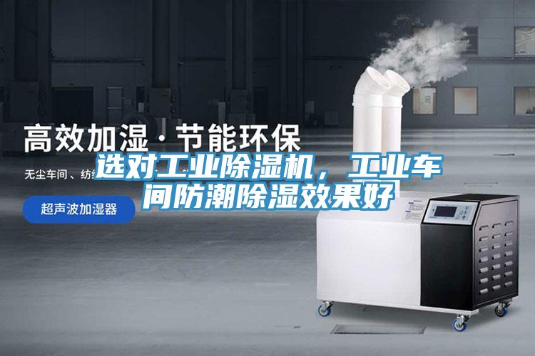 选对工业免费看操逼软件，工业车间防潮除湿效果好