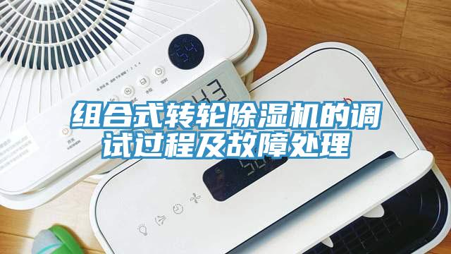 组合式转轮免费看操逼软件的调试过程及故障处理