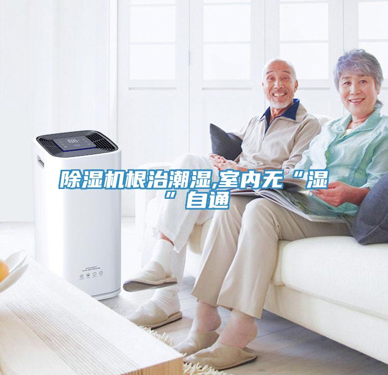 免费看操逼软件根治潮湿,室内无“湿”自通