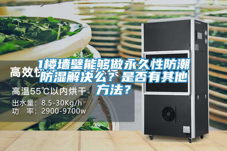 1楼墙壁能够做永久性防潮防湿解决么？是否有其他方法？