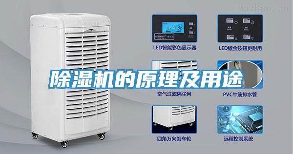免费看操逼软件的原理及用途