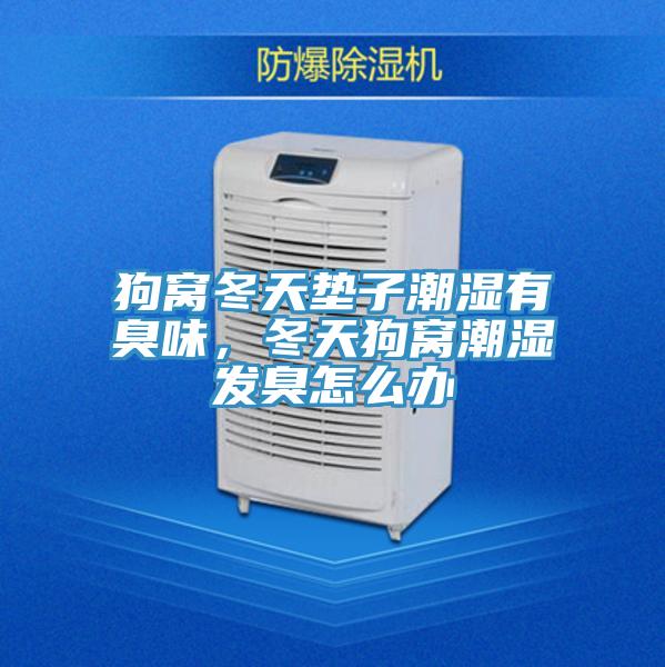 狗窝冬天垫子潮湿有臭味，冬天狗窝潮湿发臭怎么办