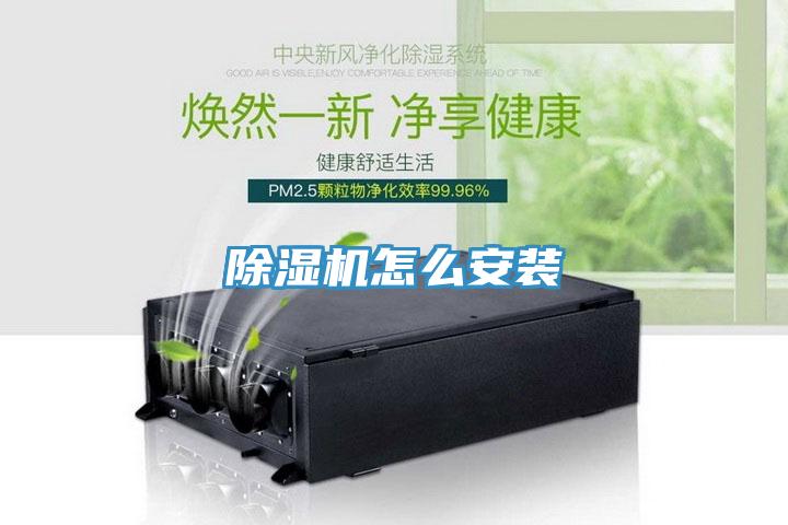免费看操逼软件怎么安装