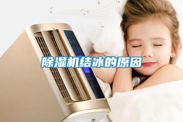 免费看操逼软件结冰的原因