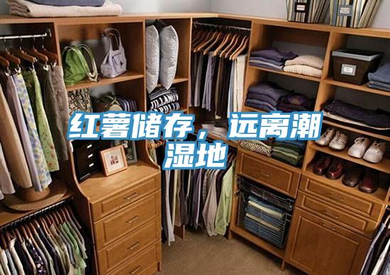 红薯储存，远离潮湿地