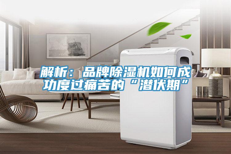 解析：品牌免费看操逼软件如何成功度过痛苦的“潜伏期”