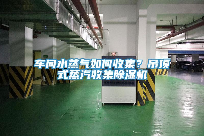 车间水蒸气如何收集？吊顶式蒸汽收集免费看操逼软件