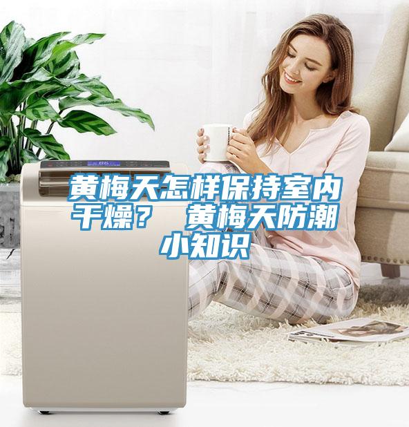 黄梅天怎样保持室内干燥？ 黄梅天防潮小知识