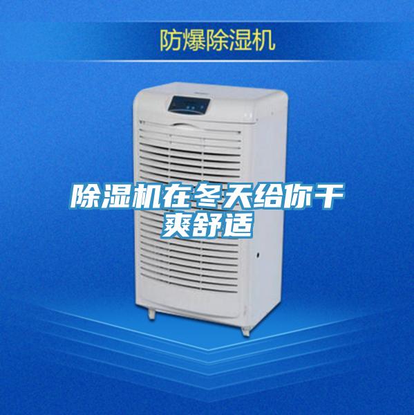 免费看操逼软件在冬天给你干爽舒适