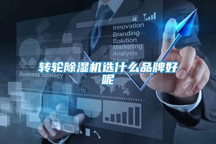 转轮免费看操逼软件选什么品牌好呢