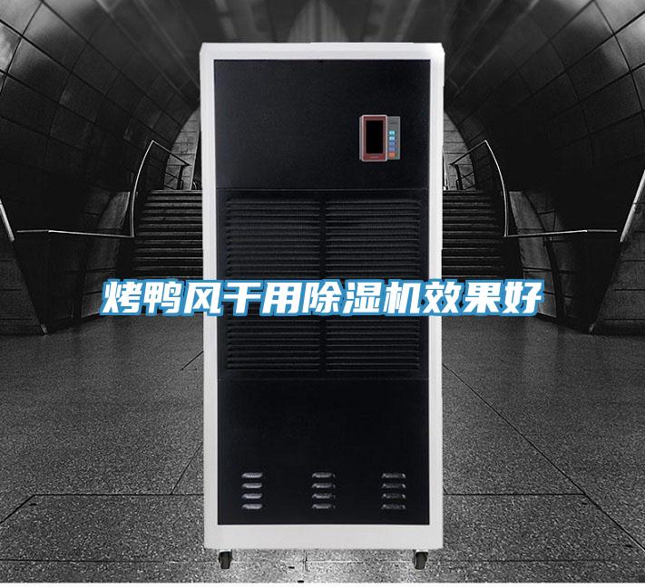 烤鸭风干用免费看操逼软件效果好