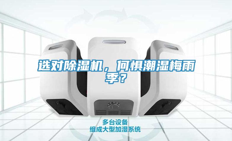 选对免费看操逼软件，何惧潮湿梅雨季？