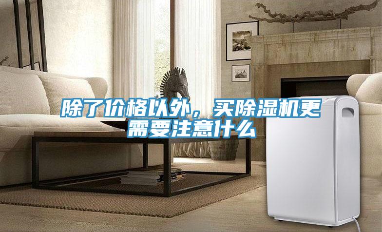 除了价格以外，买免费看操逼软件更需要注意什么