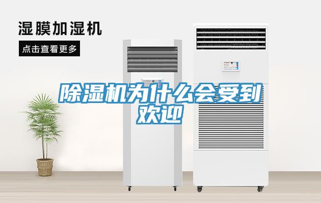 免费看操逼软件为什么会受到欢迎