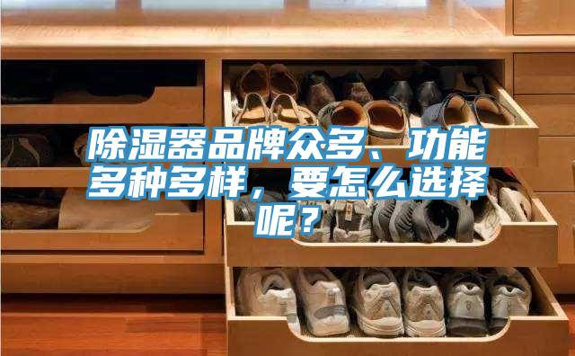 除湿器品牌众多、功能多种多样，要怎么选择呢？