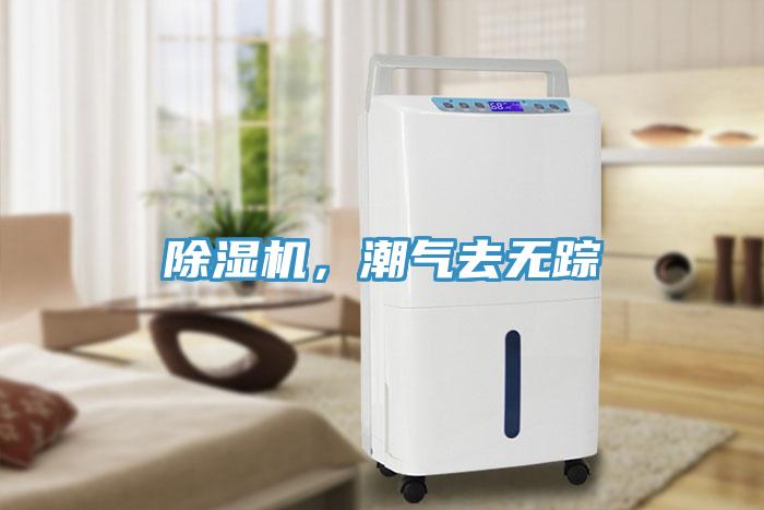 免费看操逼软件，潮气去无踪