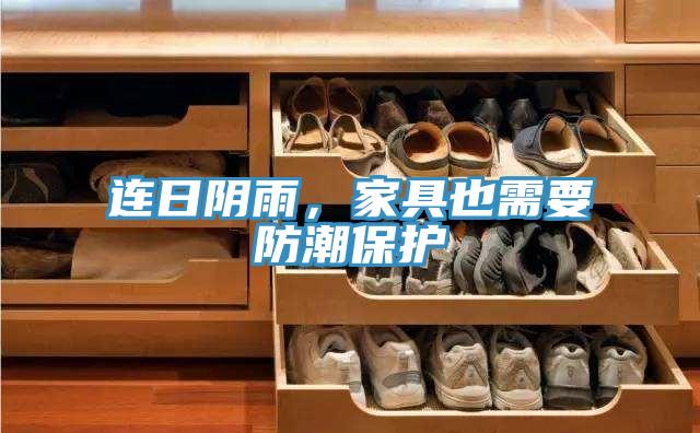 连日阴雨，家具也需要防潮保护