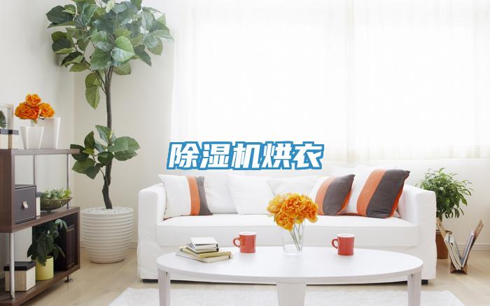 免费看操逼软件烘衣