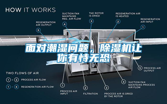面对潮湿问题，免费看操逼软件让你有恃无恐