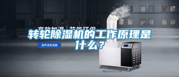 转轮免费看操逼软件的工作原理是什么？