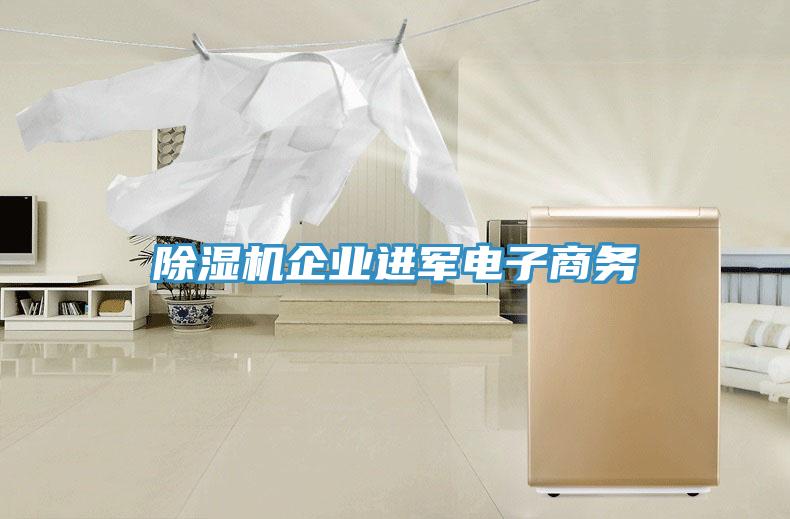 免费看操逼软件企业进军电子商务