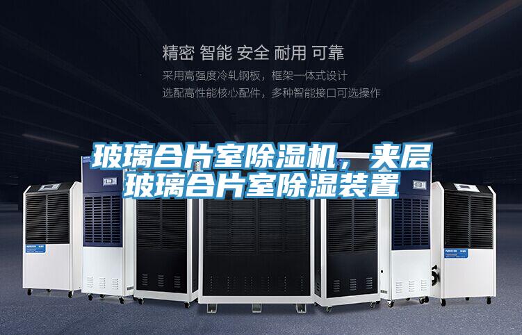 玻璃合片室免费看操逼软件，夹层玻璃合片室除湿装置