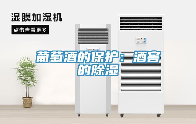 葡萄酒的保护：酒窖的除湿