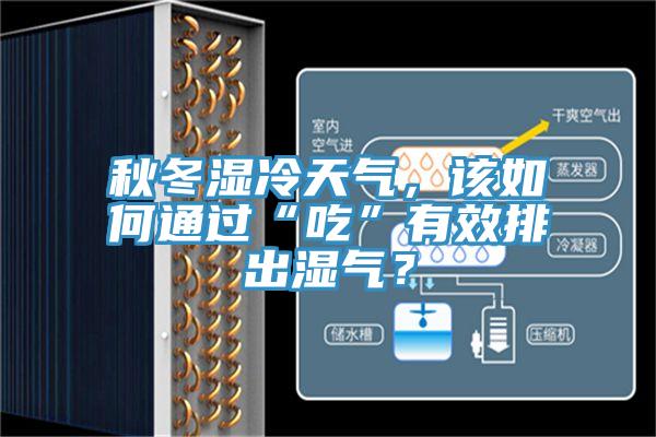 秋冬湿冷天气，该如何通过“吃”有效排出湿气？
