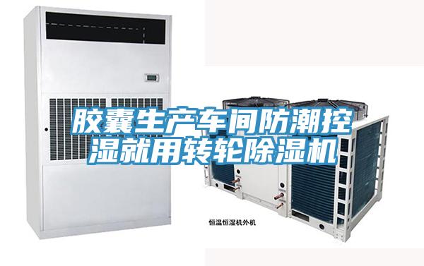 胶囊生产车间防潮控湿就用转轮免费看操逼软件