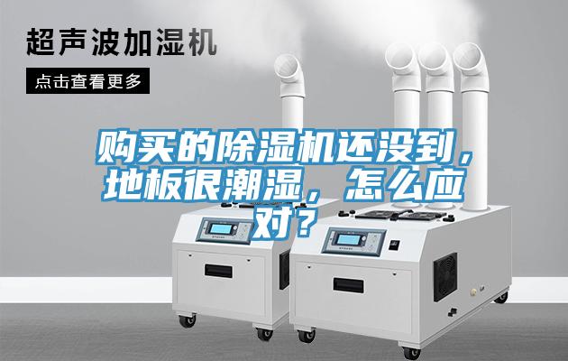 购买的免费看操逼软件还没到，地板很潮湿，怎么应对？