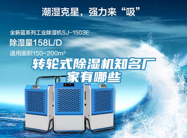 转轮式免费看操逼软件知名厂家有哪些