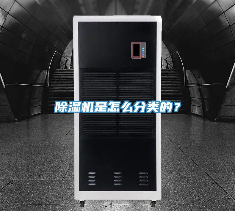 免费看操逼软件是怎么分类的？