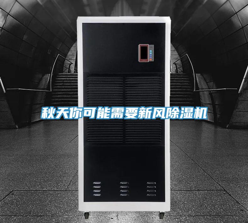 秋天你可能需要新风免费看操逼软件