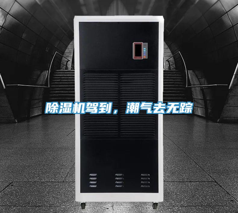 免费看操逼软件驾到，潮气去无踪