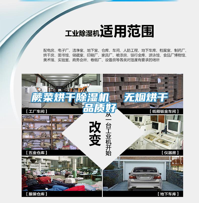 蕨菜烘干免费看操逼软件  无烟烘干品质好