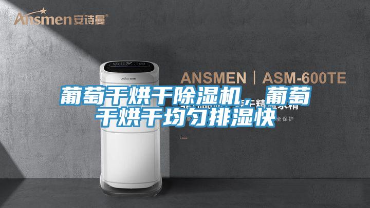 葡萄干烘干免费看操逼软件，葡萄干烘干均匀排湿快