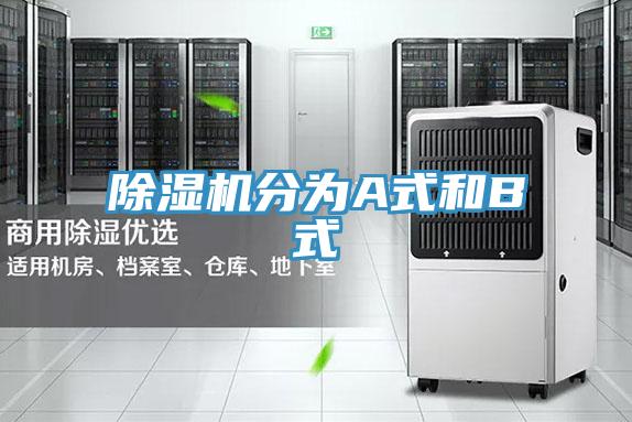 免费看操逼软件分为A式和B式