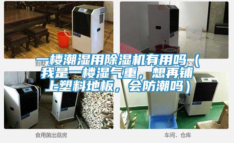 一楼潮湿用免费看操逼软件有用吗（我是一楼湿气重，想再铺上塑料地板，会防潮吗）