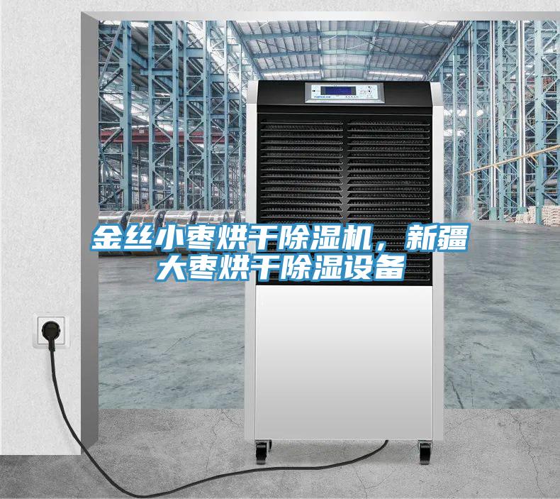 金丝小枣烘干免费看操逼软件，新疆大枣烘干除湿设备