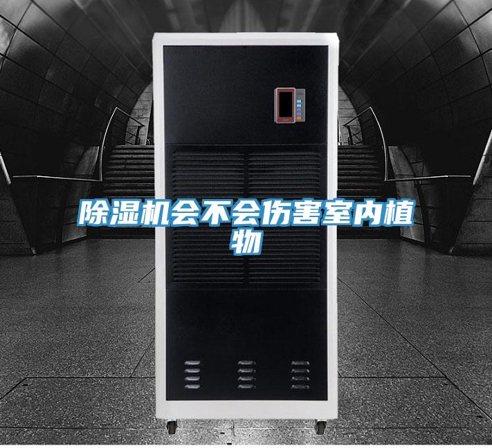 免费看操逼软件会不会伤害室内植物