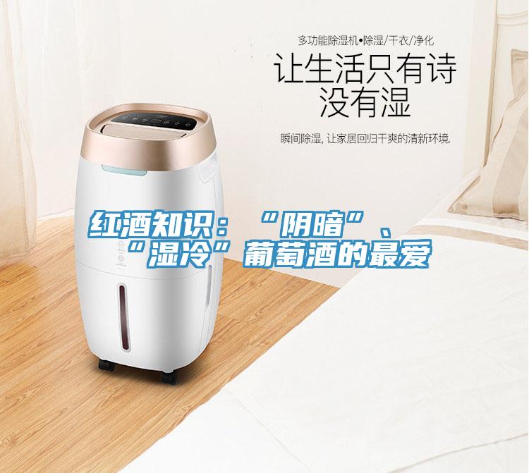 红酒知识：“阴暗”、“湿冷”葡萄酒的最爱