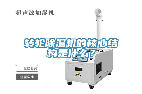 转轮免费看操逼软件的核心结构是什么？